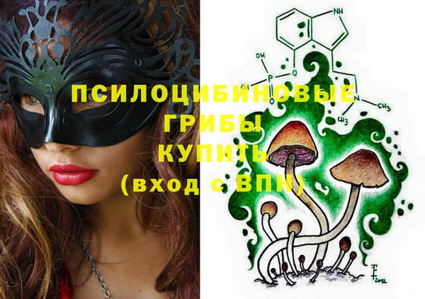 прущие грибы Богданович