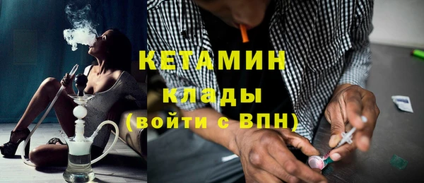 прущие грибы Богданович