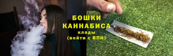 прущие грибы Богданович
