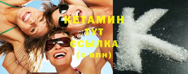 прущие грибы Богданович