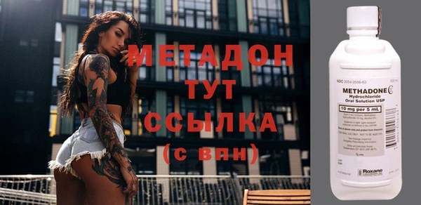 прущие грибы Богданович